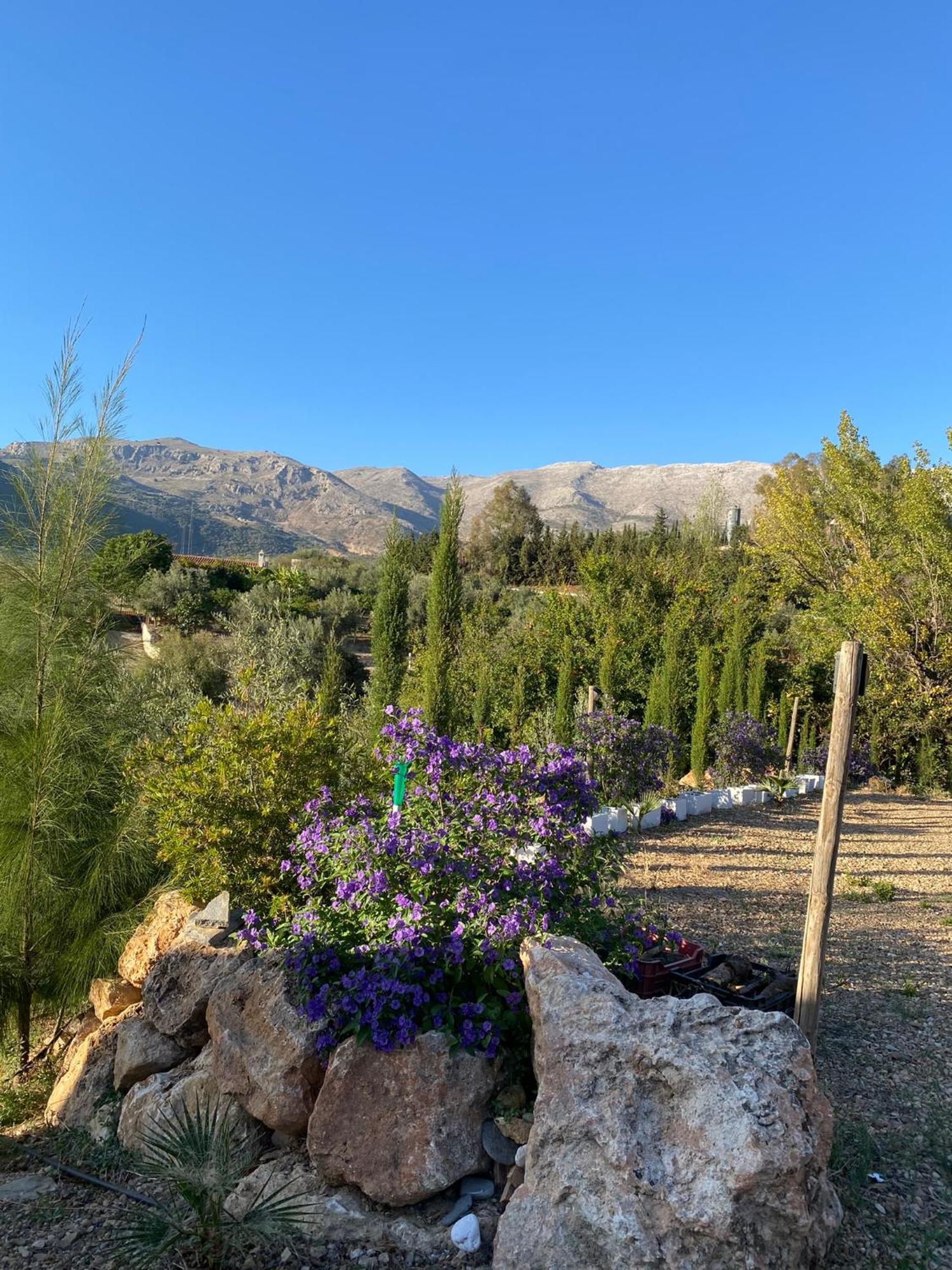 Casa Rural Antonio Y Esperanza Periana Eksteriør billede