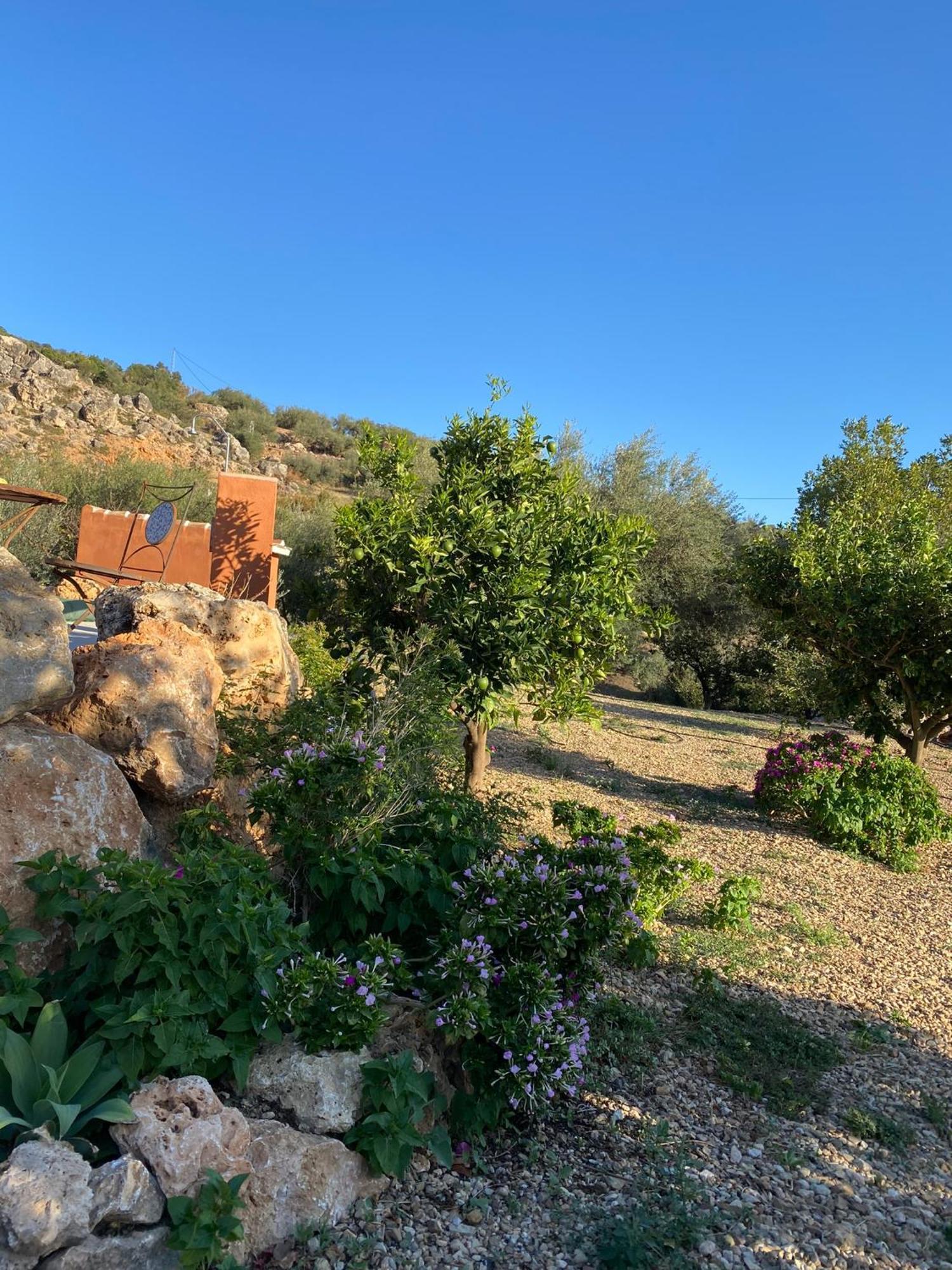 Casa Rural Antonio Y Esperanza Periana Eksteriør billede